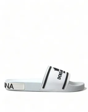 Chic White and Black Logo Slides
