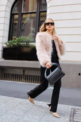 Scarlett Jacket - Blush